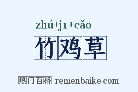竹鸡草是什么意思的图片
